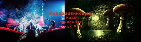 соль ск Балабаново