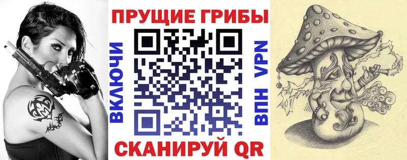 гидра рабочий сайт  Поворино  Галлюциногенные грибы прущие грибы  цены наркотик 